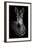 Zebra-Incado-Framed Photographic Print