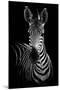 Zebra-Incado-Mounted Photographic Print