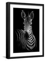 Zebra-Incado-Framed Photographic Print