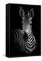 Zebra-Incado-Framed Stretched Canvas