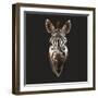 Zebra-Lora Kroll-Framed Art Print