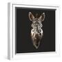 Zebra-Lora Kroll-Framed Art Print