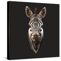 Zebra-Lora Kroll-Stretched Canvas