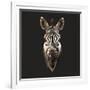 Zebra-Lora Kroll-Framed Art Print