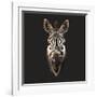 Zebra-Lora Kroll-Framed Art Print