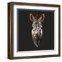 Zebra-Lora Kroll-Framed Art Print