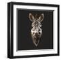 Zebra-Lora Kroll-Framed Art Print