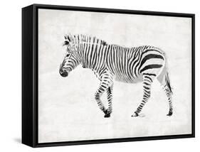 Zebra-OnRei-Framed Stretched Canvas