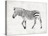 Zebra-OnRei-Stretched Canvas