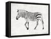 Zebra-OnRei-Framed Stretched Canvas