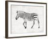 Zebra-OnRei-Framed Art Print