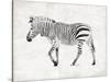 Zebra-OnRei-Stretched Canvas