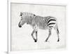 Zebra-OnRei-Framed Art Print