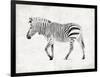 Zebra-OnRei-Framed Art Print