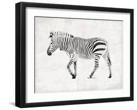 Zebra-OnRei-Framed Art Print