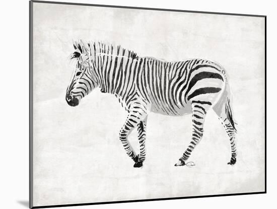 Zebra-OnRei-Mounted Art Print