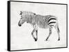 Zebra-OnRei-Framed Stretched Canvas