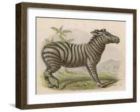 Zebra-Brittan-Framed Art Print