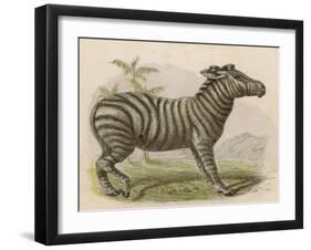 Zebra-Brittan-Framed Art Print