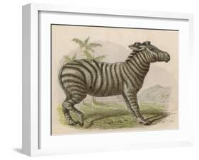 Zebra-Brittan-Framed Art Print