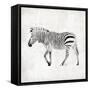 Zebra-OnRei-Framed Stretched Canvas