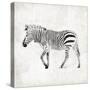 Zebra-OnRei-Stretched Canvas