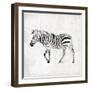 Zebra-OnRei-Framed Art Print