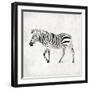 Zebra-OnRei-Framed Art Print