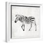 Zebra-OnRei-Framed Art Print