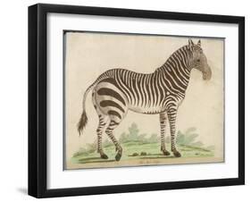 Zebra-null-Framed Art Print