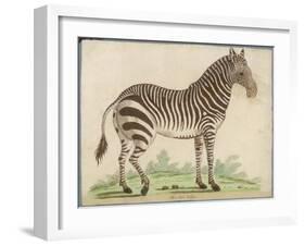 Zebra-null-Framed Art Print