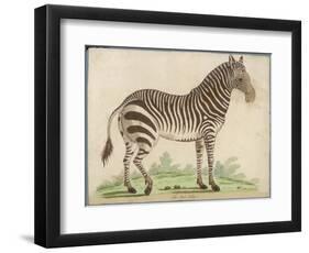 Zebra-null-Framed Art Print