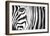 Zebra-Cherie Roe Dirksen-Framed Giclee Print