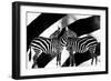 Zebra-Ata Alishahi-Framed Giclee Print