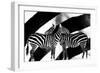 Zebra-Ata Alishahi-Framed Giclee Print