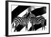 Zebra-Ata Alishahi-Framed Giclee Print