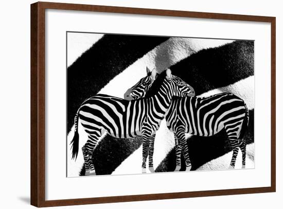 Zebra-Ata Alishahi-Framed Giclee Print