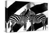 Zebra-Ata Alishahi-Stretched Canvas