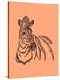 Zebra-Drawpaint Illustration-Stretched Canvas