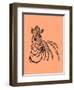 Zebra-Drawpaint Illustration-Framed Premium Giclee Print
