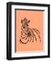 Zebra-Drawpaint Illustration-Framed Premium Giclee Print