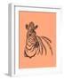 Zebra-Drawpaint Illustration-Framed Giclee Print