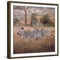 Zebra-David Knowlton-Framed Giclee Print