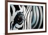 Zebra-Cherie Roe Dirksen-Framed Giclee Print