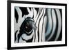 Zebra-Cherie Roe Dirksen-Framed Giclee Print