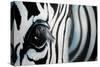 Zebra-Cherie Roe Dirksen-Stretched Canvas