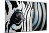 Zebra-Cherie Roe Dirksen-Mounted Giclee Print