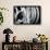 Zebra-Cherie Roe Dirksen-Framed Giclee Print displayed on a wall