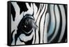 Zebra-Cherie Roe Dirksen-Framed Stretched Canvas