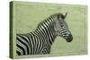 Zebra-James W. Johnson-Stretched Canvas